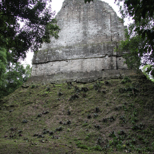 Templo VI - Tikal - Guatemala