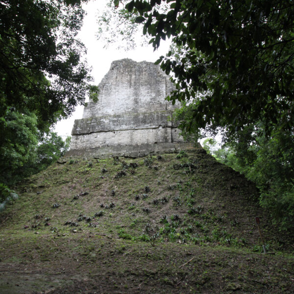 Templo VI - Tikal - Guatemala