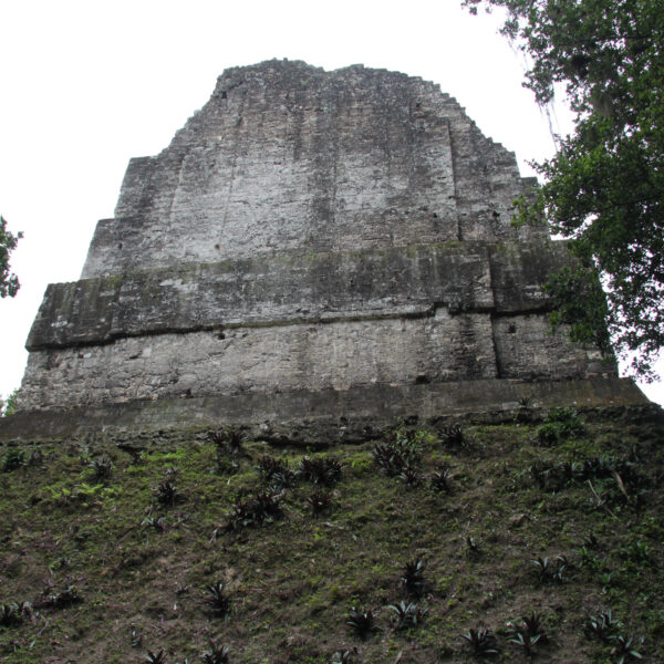 Templo VI - Tikal - Guatemala