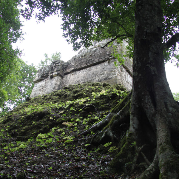 Templo VI - Tikal - Guatemala