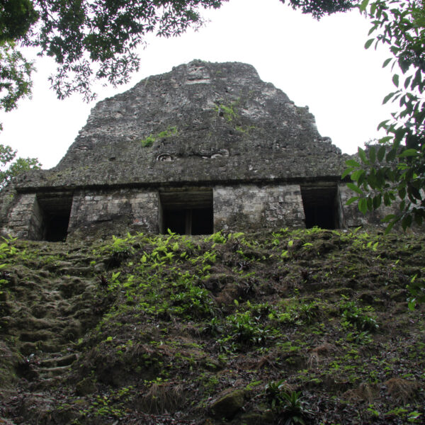 Templo VI - Tikal - Guatemala