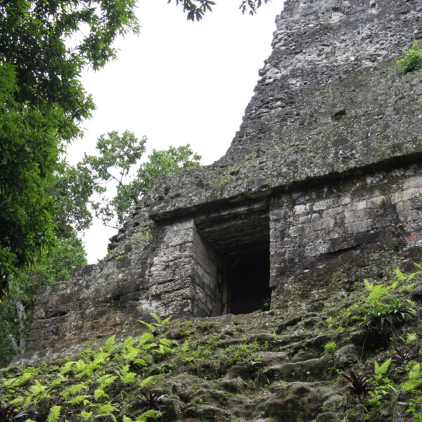 Templo VI - Tikal - Guatemala