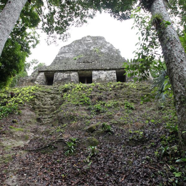 Templo VI - Tikal - Guatemala