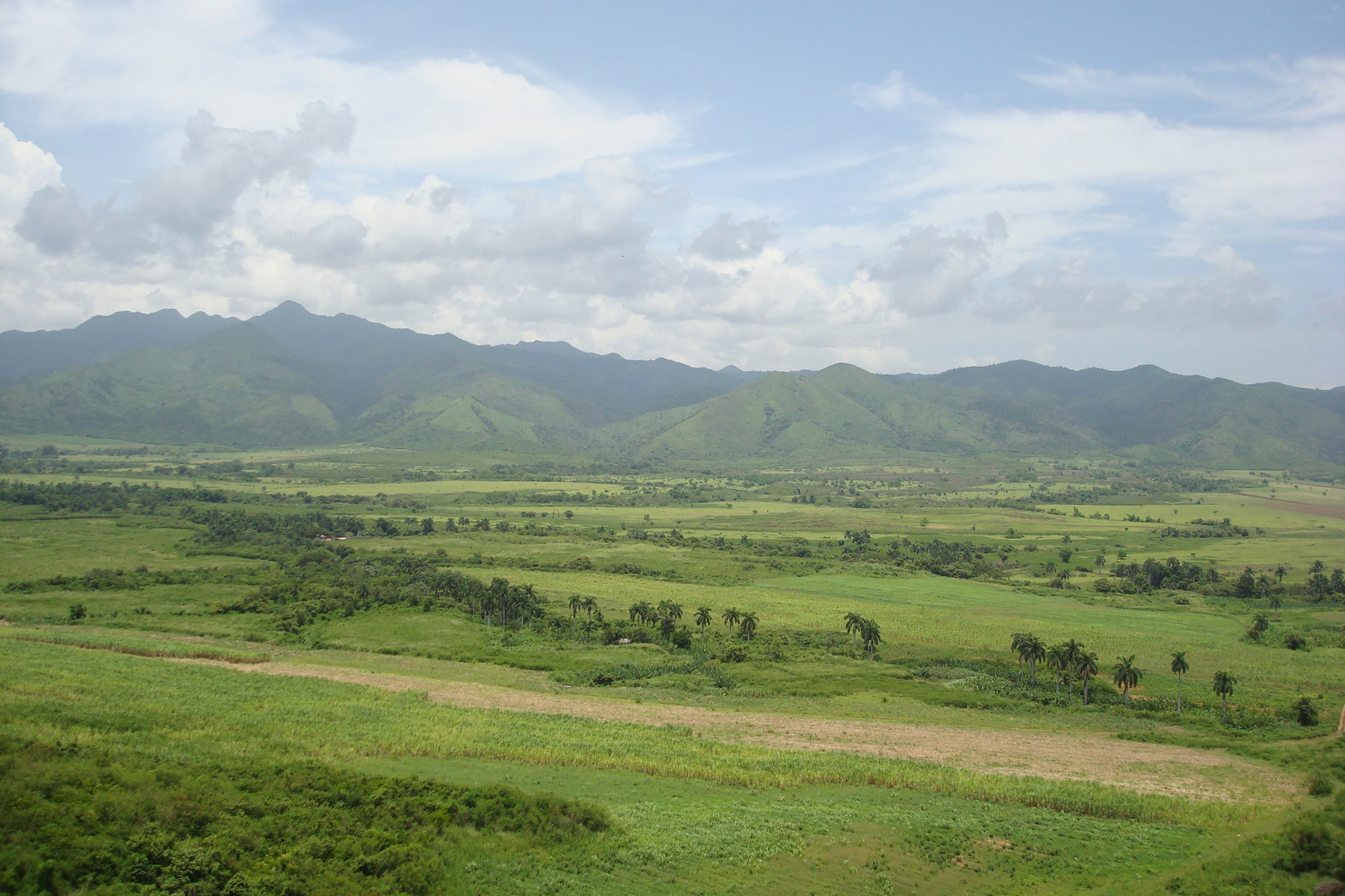 Top 5 gebieden in Cuba die je echt bezocht moet hebben: Valle de los Ingenios