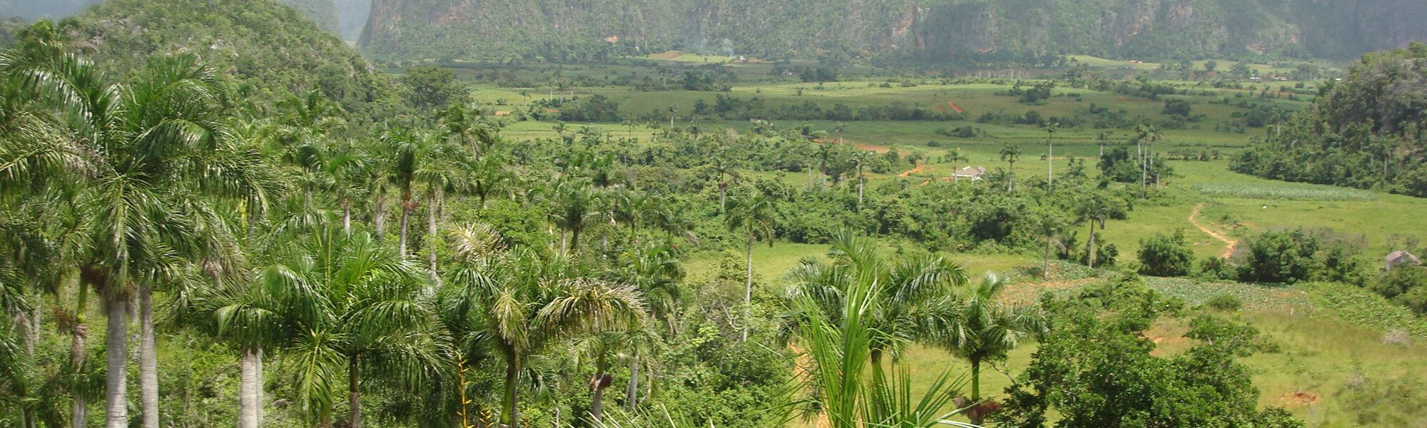 Top 5 gebieden in Cuba die je echt bezocht moet hebben: Valle de Viñales