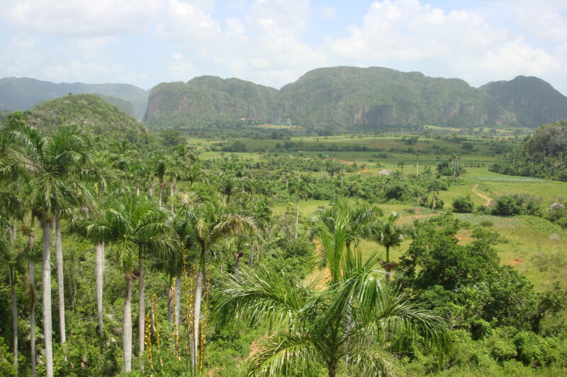 Top 5 gebieden in Cuba die je echt bezocht moet hebben: Valle de Viñales