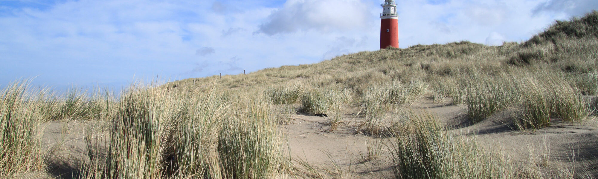 Texel - Nederland