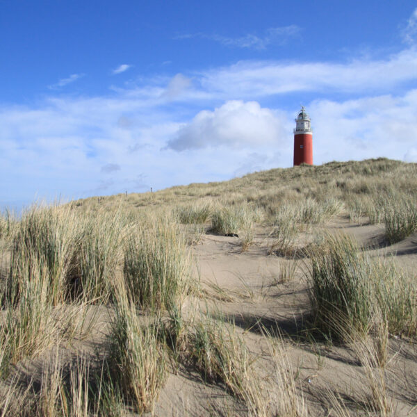 Texel - Nederland