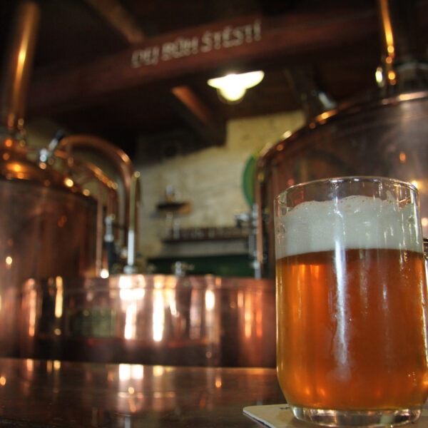 Temple of Hops and Beer - Žatec - Tsjechië