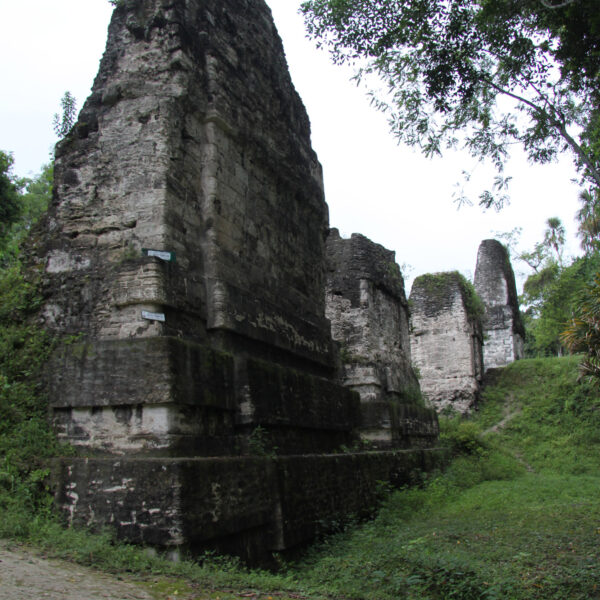 Plaza de los Siete Templos - Tikal - Guatemala