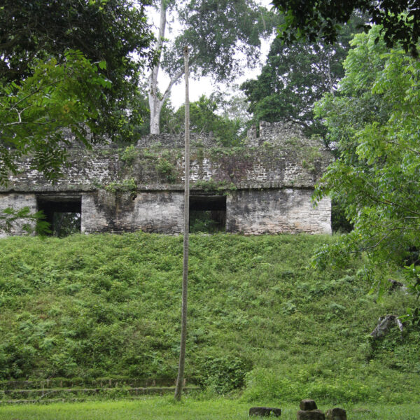 Plaza de los Siete Templos - Tikal - Guatemala