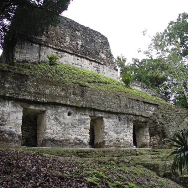 Plaza de los Siete Templos - Tikal - Guatemala