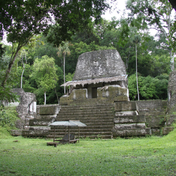 Plaza de los Siete Templos - Tikal - Guatemala