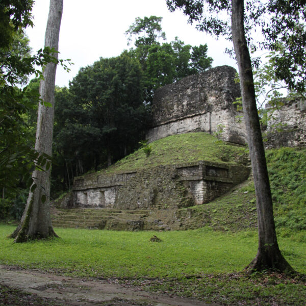 Plaza de los Siete Templos - Tikal - Guatemala