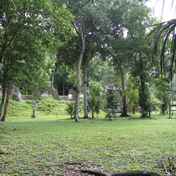 Plaza de los Siete Templos - Tikal - Guatemala