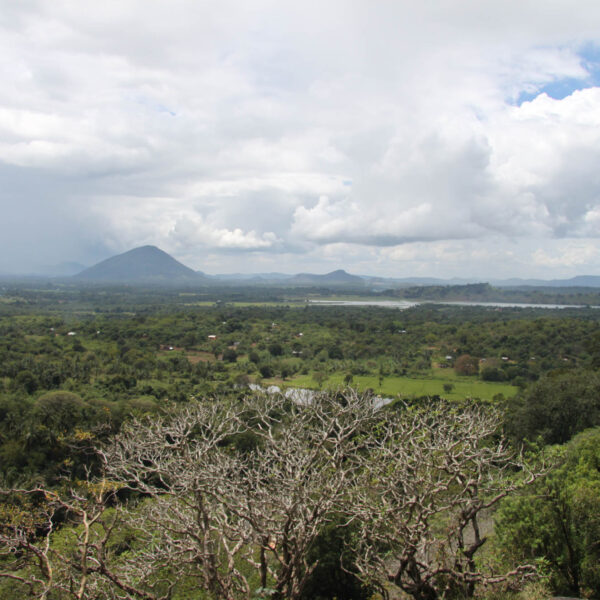 Gouden Tempel van Dambulla - Dambulla - Sri Lanka