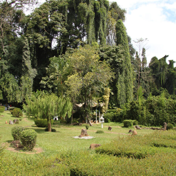 Koninklijke tuinen van Peradeniya - Kandy - Sri Lanka