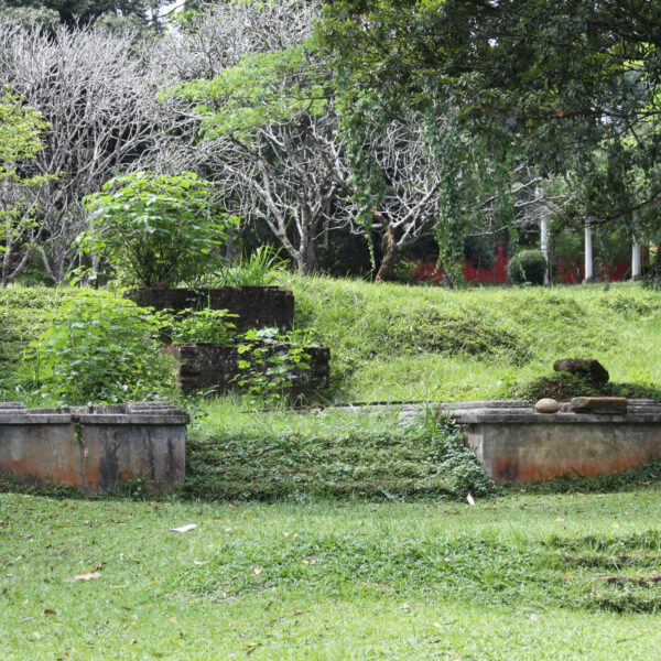 Koninklijke tuinen van Peradeniya - Kandy - Sri Lanka
