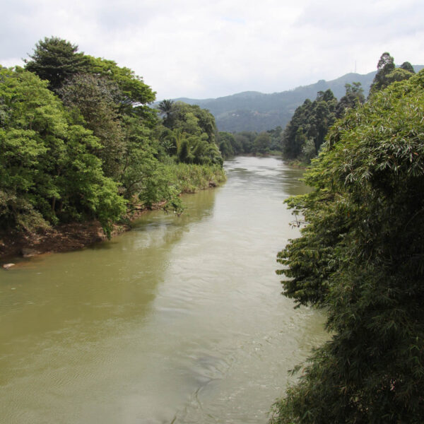 Koninklijke tuinen van Peradeniya - Kandy - Sri Lanka