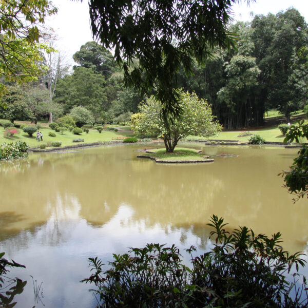 Koninklijke tuinen van Peradeniya - Kandy - Sri Lanka