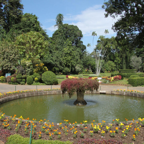 Koninklijke tuinen van Peradeniya - Kandy - Sri Lanka