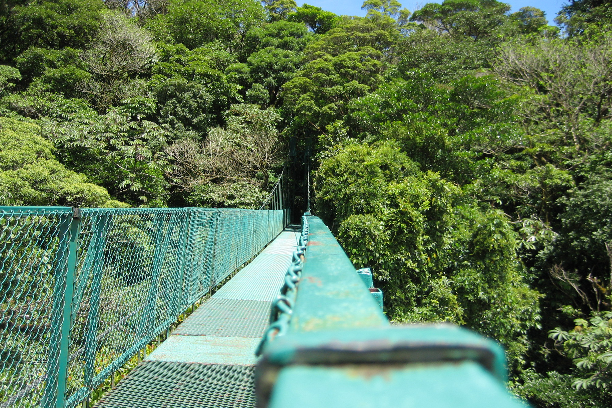 5 reden om naar Costa Rica te reizen - Volop activieiten: hangbruggen