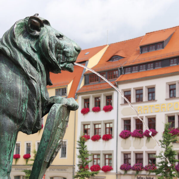 Brunnendenkmal Otto der Reiche - Freiberg - Duitsland