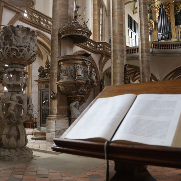 Freiberger Dom St. Marien - Freiberg - Duitsland