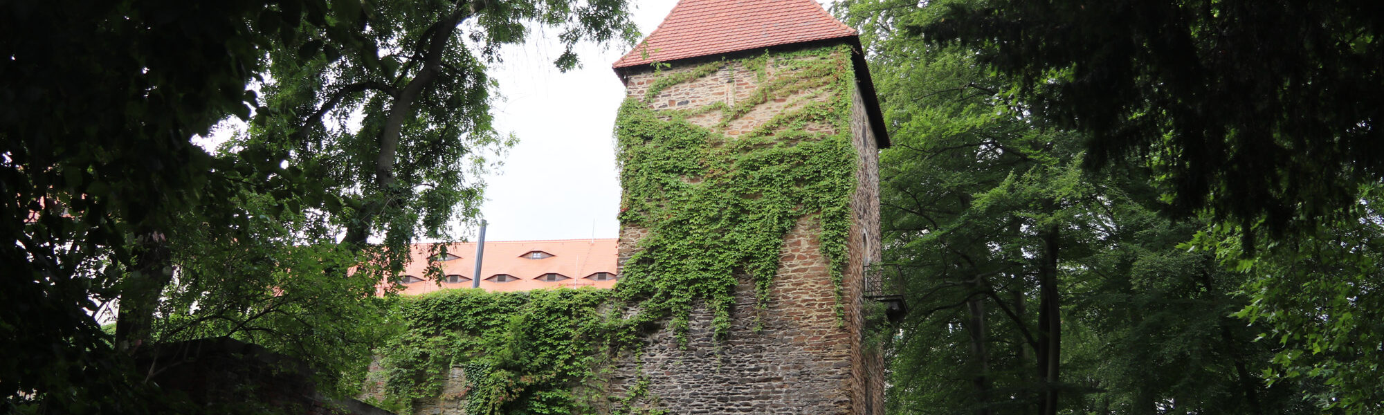 Altschlossturm - Freiberg - Duitsland