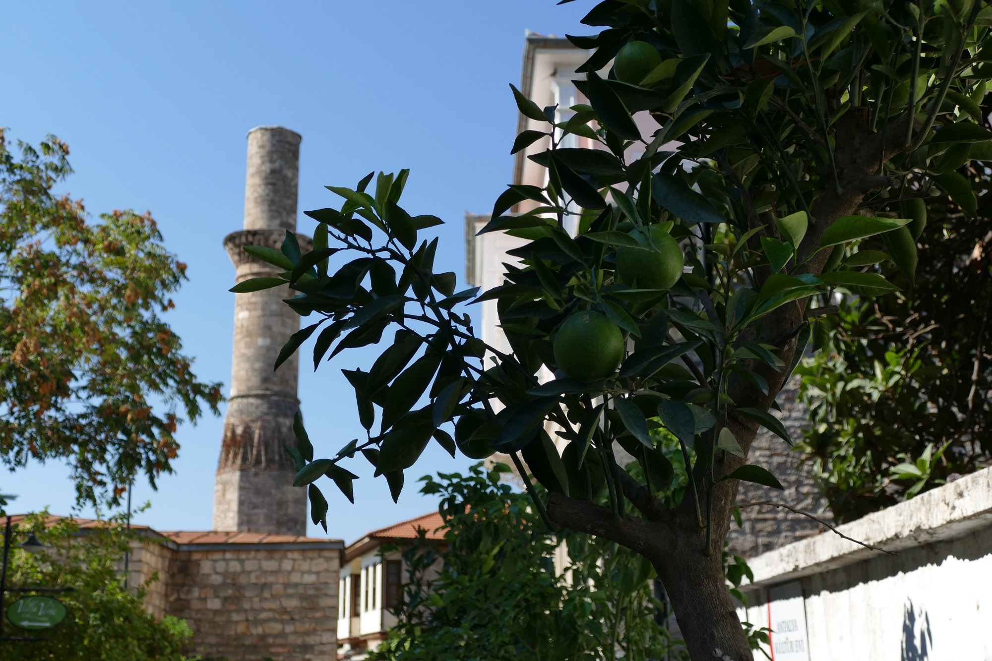 Een bezoek aan Kaleiçi in Antalya - Fruitbomen met op de achtergrond de Kesik Minhare