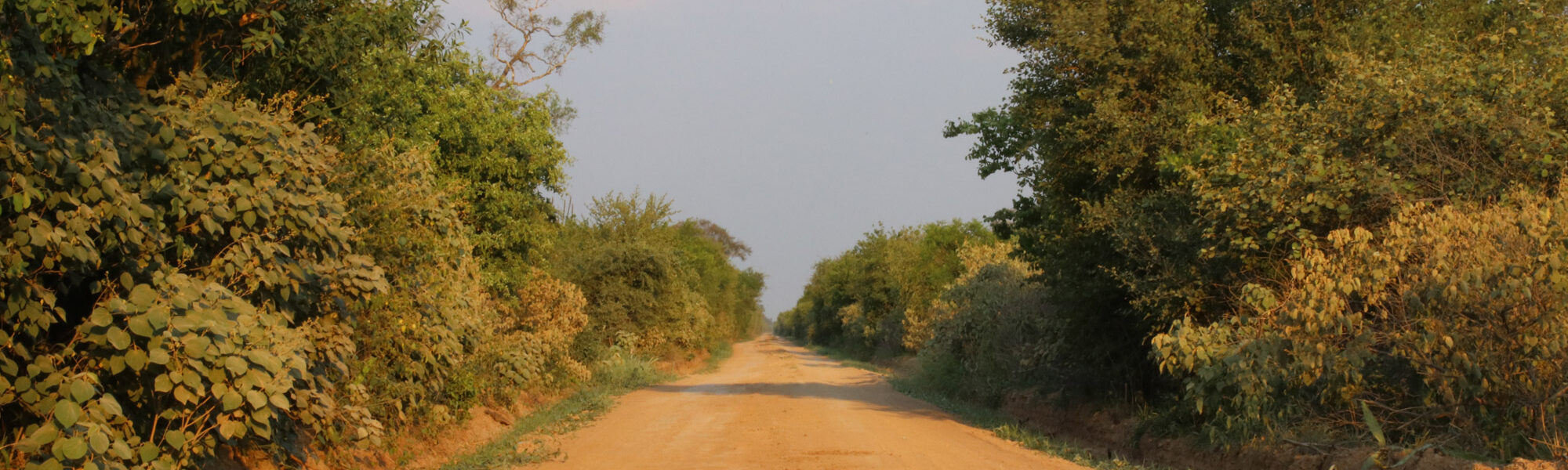 Parque Nacional del Gran Chaco Kaa-Iya - Bolivia