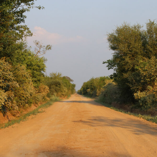 Parque Nacional del Gran Chaco Kaa-Iya - Bolivia