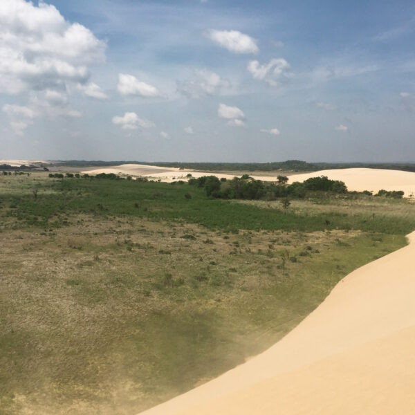 Parque Regional Lomas de Arena - Bolivia