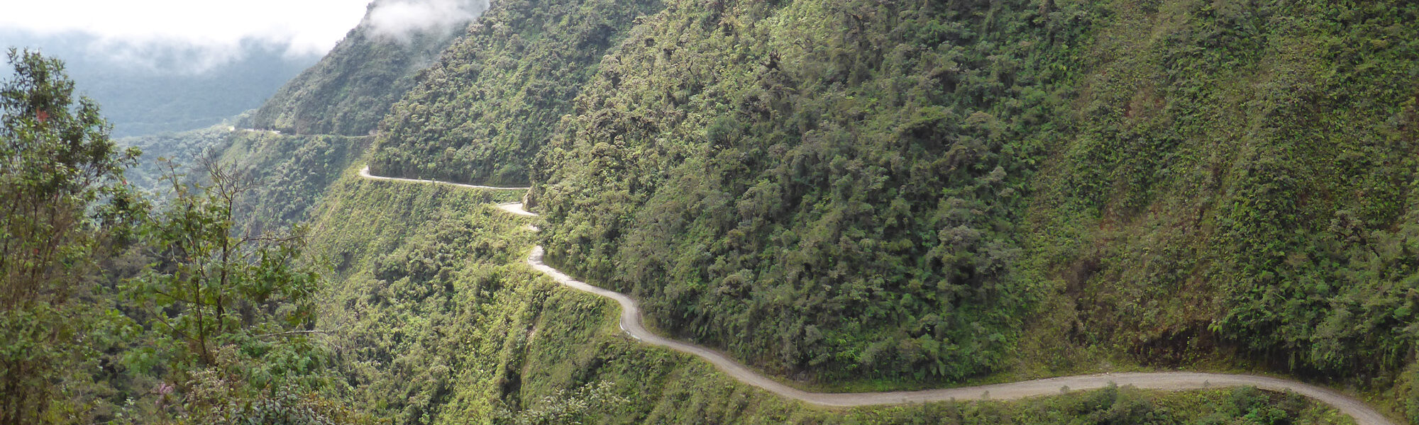 Yungas - Bolivia