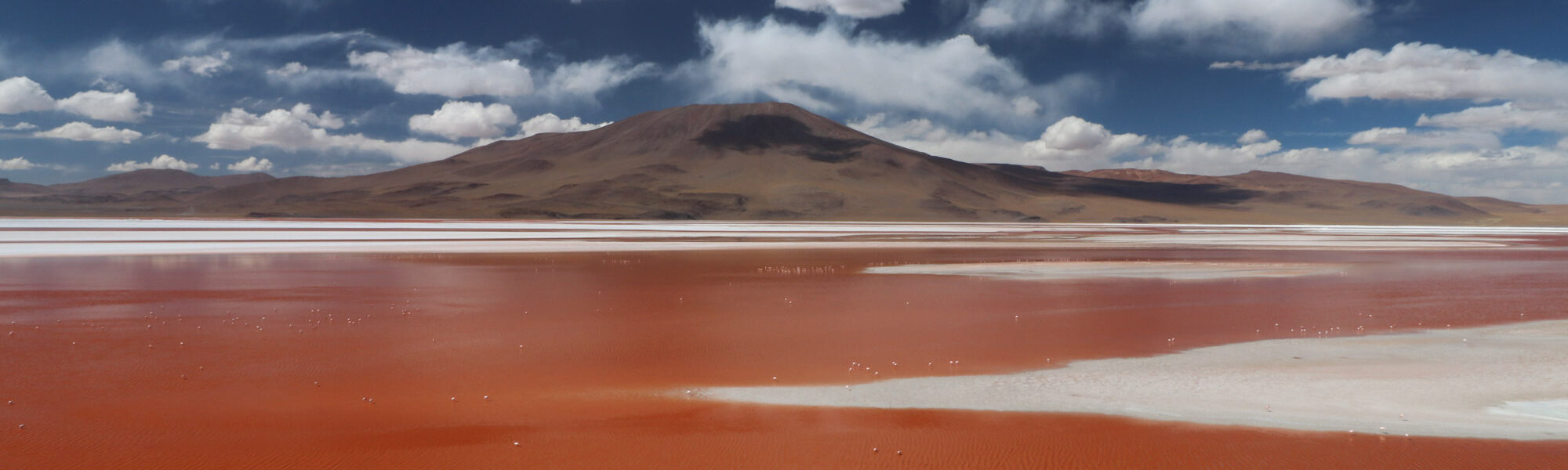 Reisverslag Bolivia: Four Days Of Fantasy Tour - Laguna Colorada