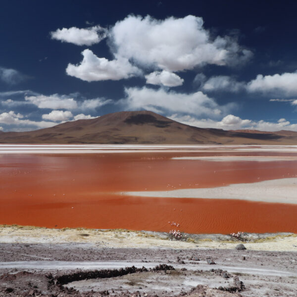 Reisverslag Bolivia: Four Days Of Fantasy Tour - Laguna Colorada