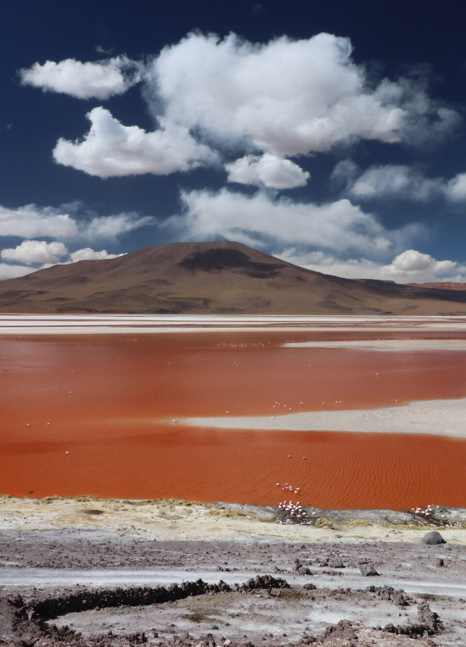 Reisebericht Bolivien: Vier Tage voller Fantasie – Laguna Colorada