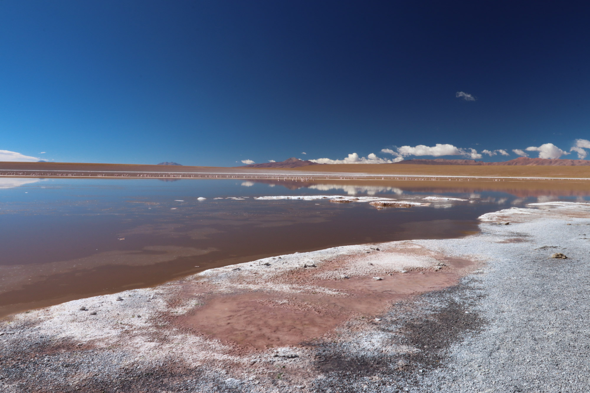 Reisverslag Bolivia: Four Days Of Fantasy Tour - Laguna Hedionda Sur