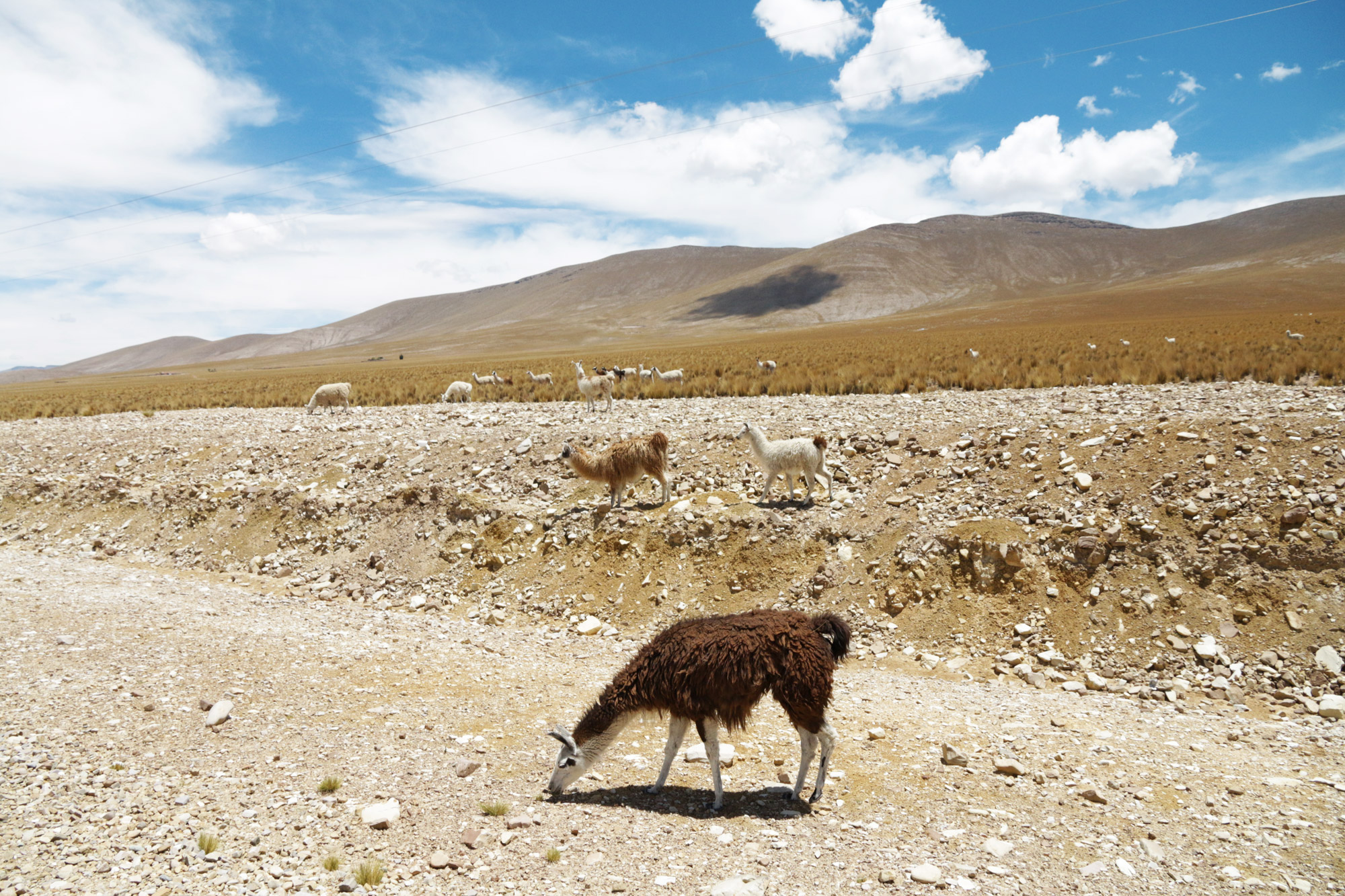 Reisverslag Bolivia: Four Days Of Fantasy Tour - Onderweg naar Tupiza