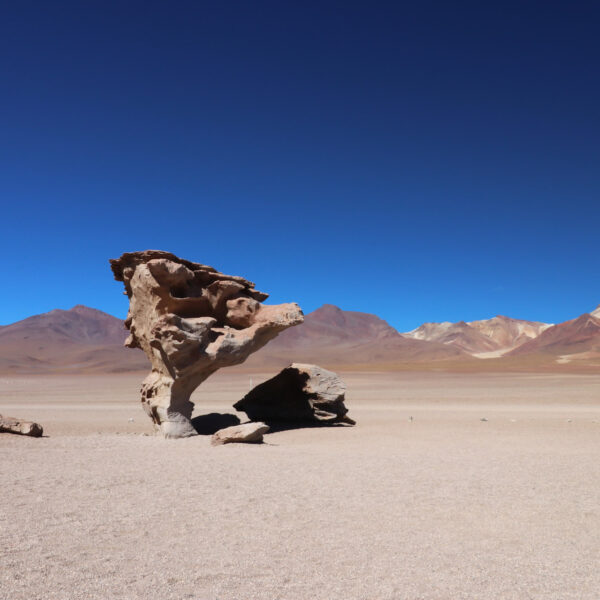 Reisverslag Bolivia: 's wereld grootste zoutvlakte - Arbol de Piedra