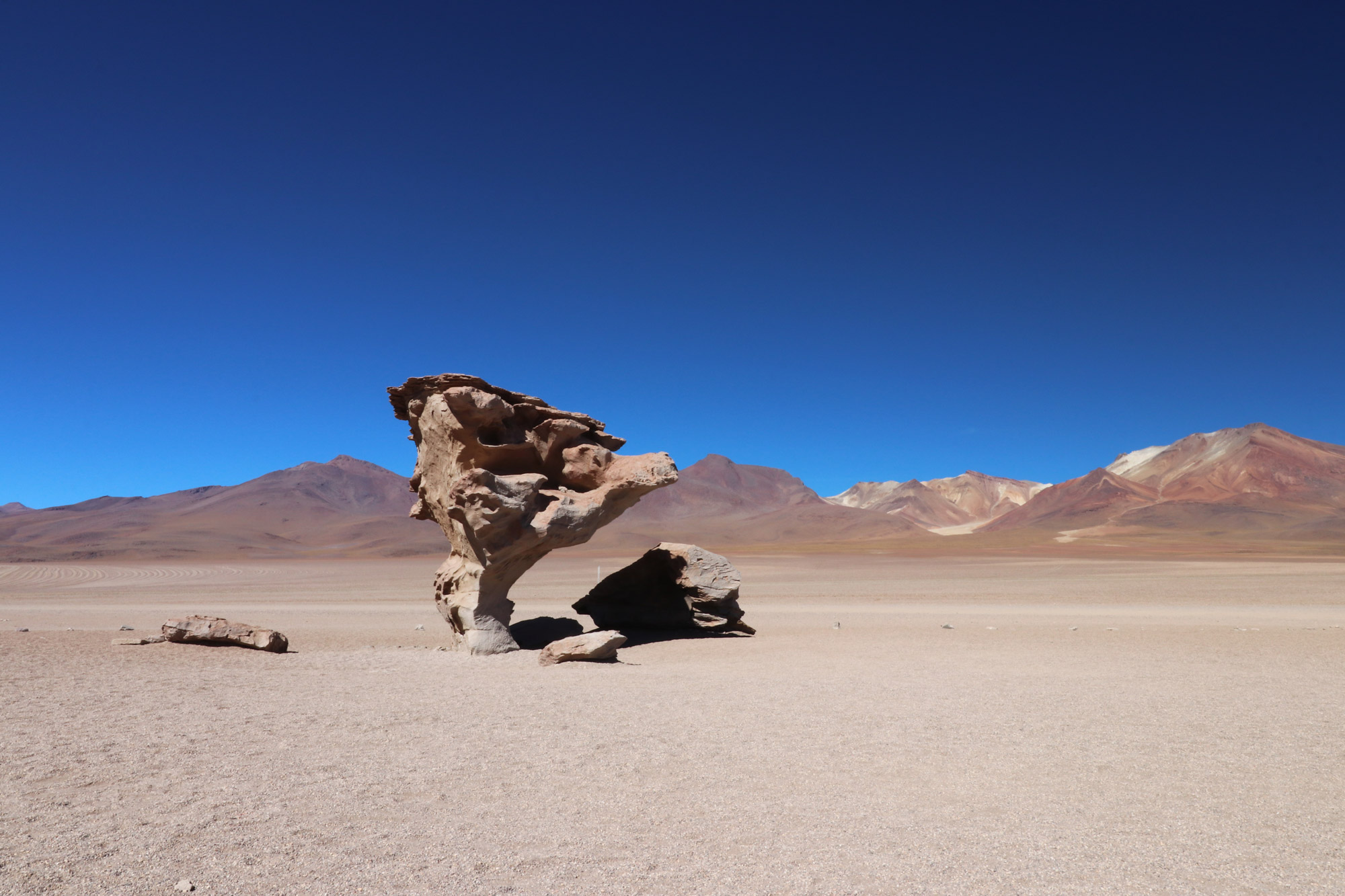 Reisverslag Bolivia: 's wereld grootste zoutvlakte - Arbol de Piedra