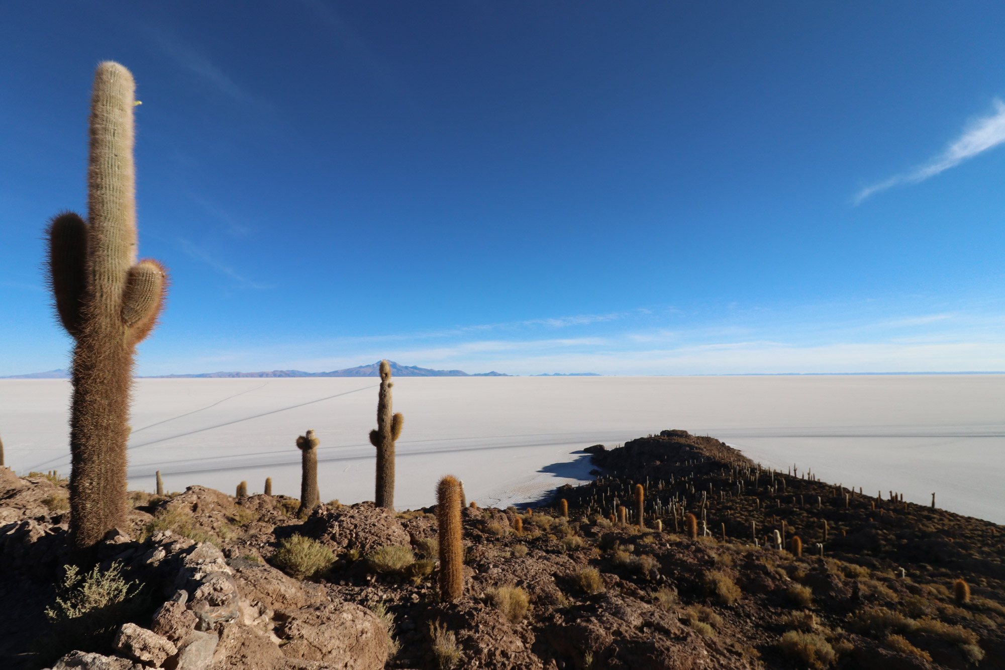 Reisverslag Bolivia: 's wereld grootste zoutvlakte - Isla Incahuasi