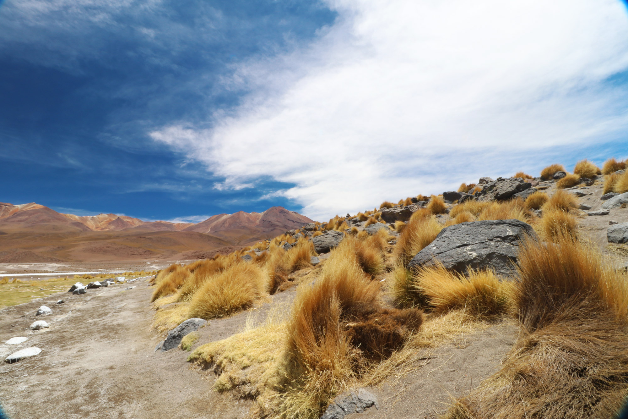 Reisverslag Bolivia: 's wereld grootste zoutvlakte - Laguna Cañapa