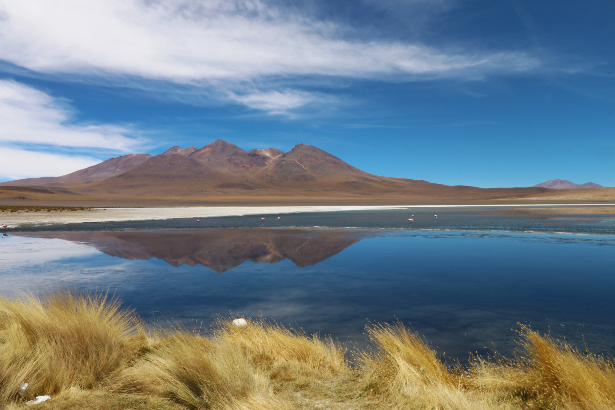 Reisverslag Bolivia: 's wereld grootste zoutvlakte - Laguna Cañapa