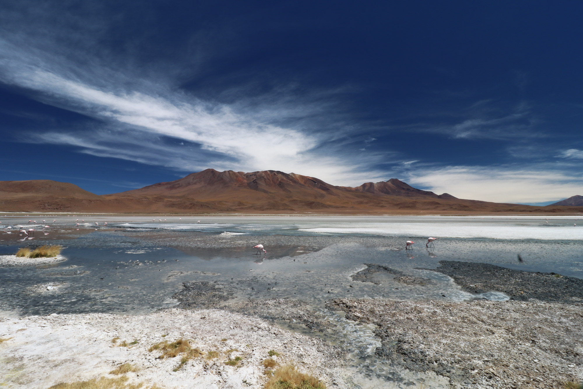 Reisverslag Bolivia: 's wereld grootste zoutvlakte - Laguna Charcota