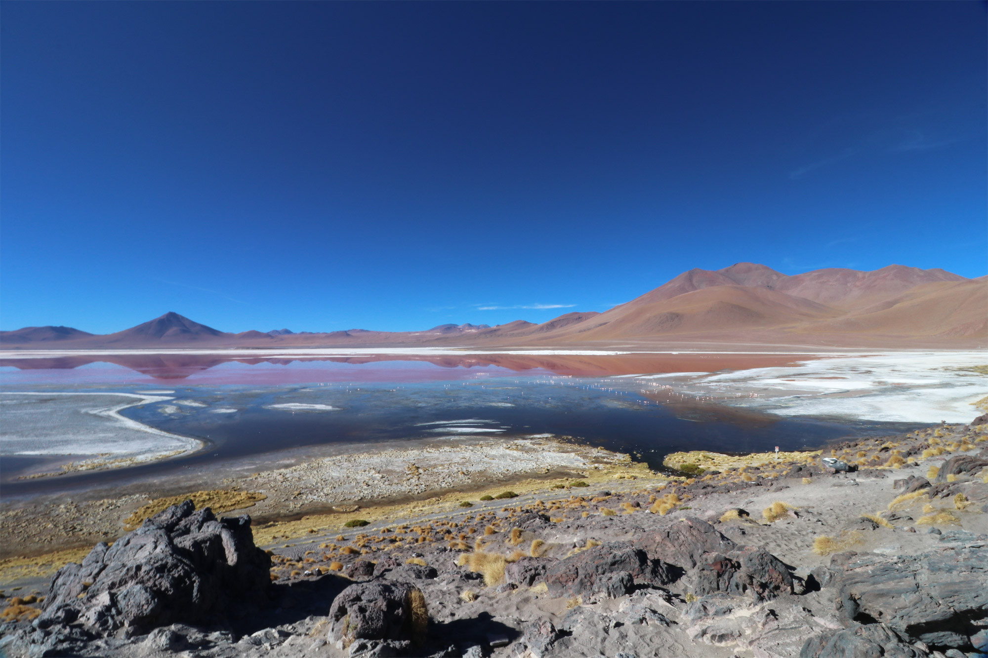 Reisverslag Bolivia: 's wereld grootste zoutvlakte - Laguna Colorada