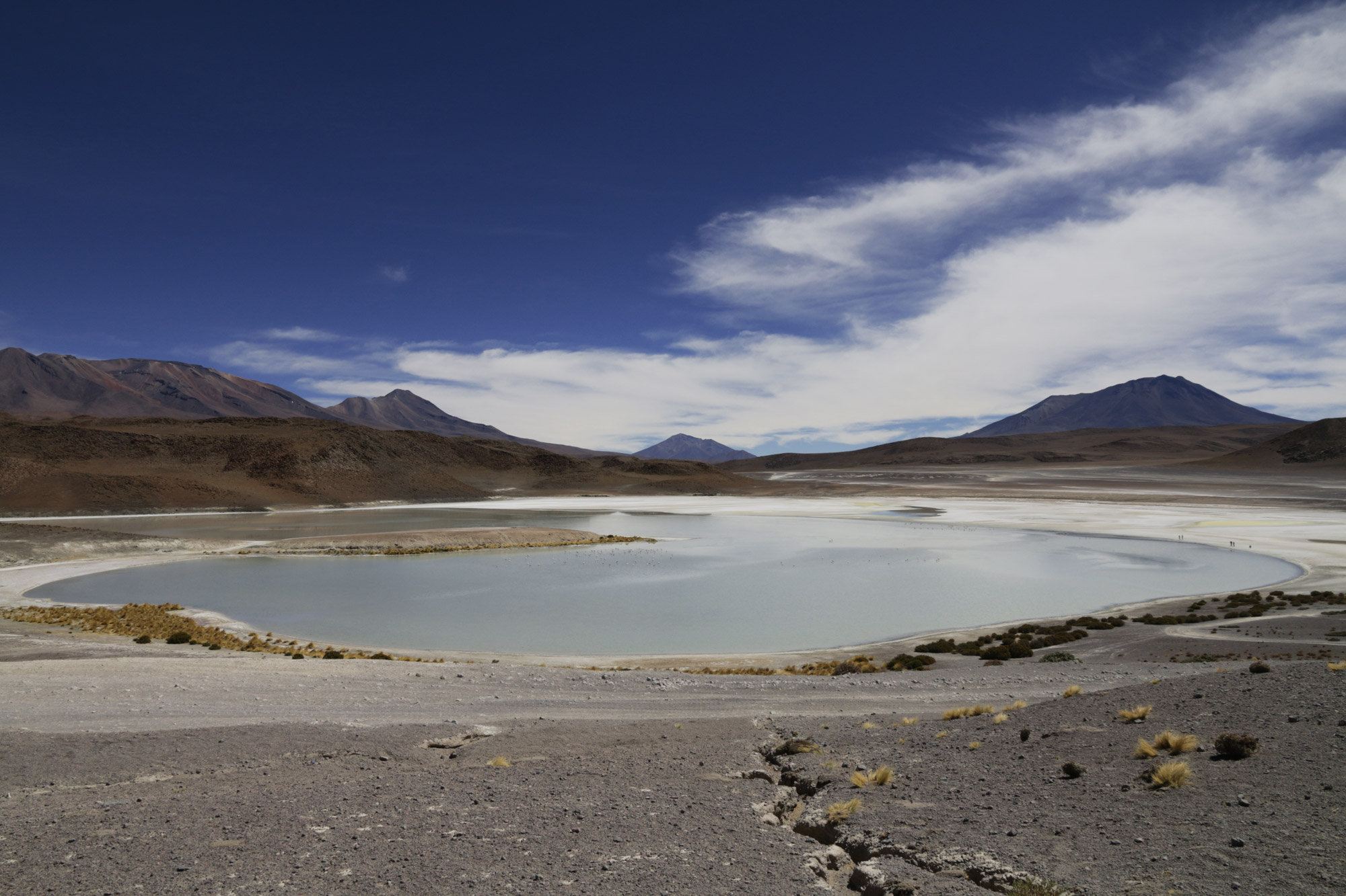 Reisverslag Bolivia: 's wereld grootste zoutvlakte - Laguna Honda