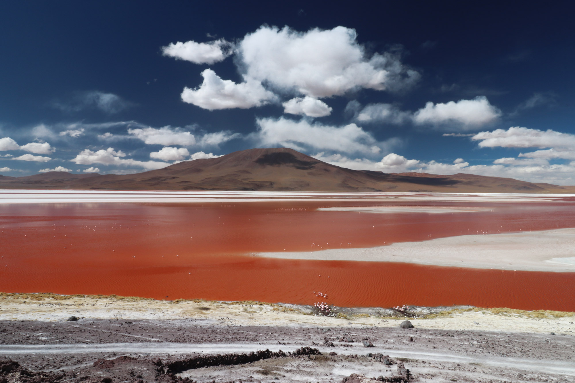 Een terugblik op het reisjaar 2016: Bolivia