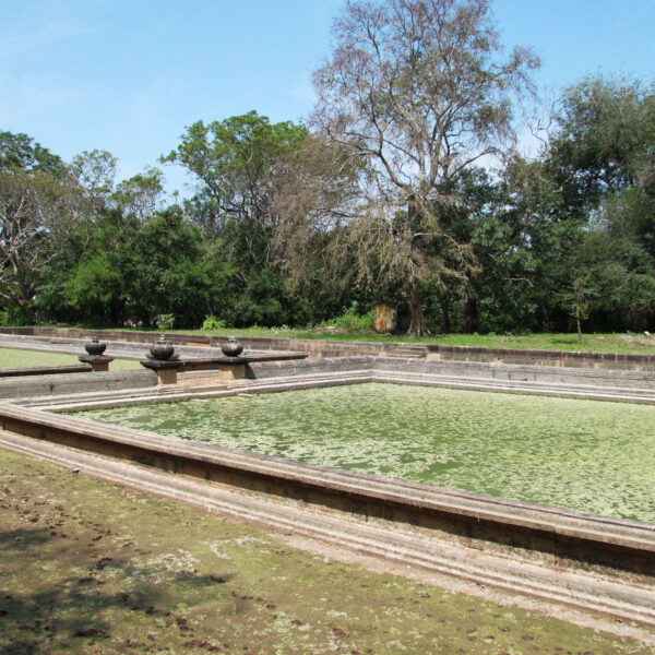 Kuttam Pokuna - Anuradhapura - Sri Lanka