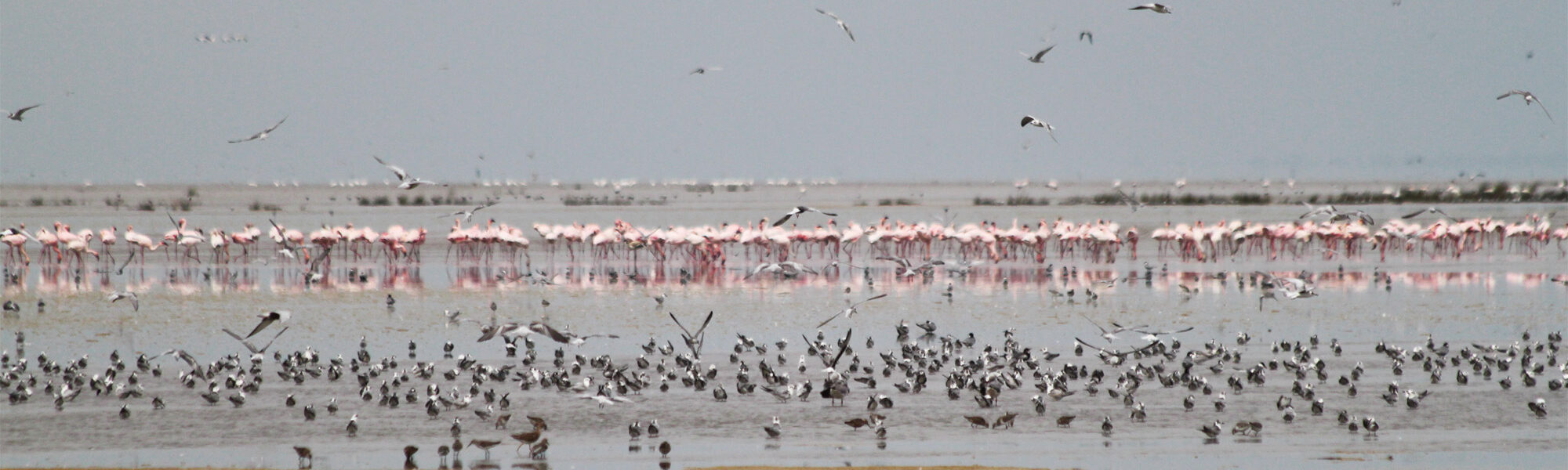 Manyara National Park - Tanzania